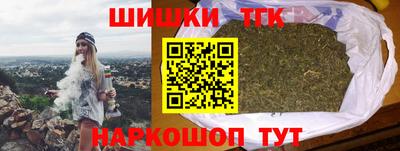 индика Тулун